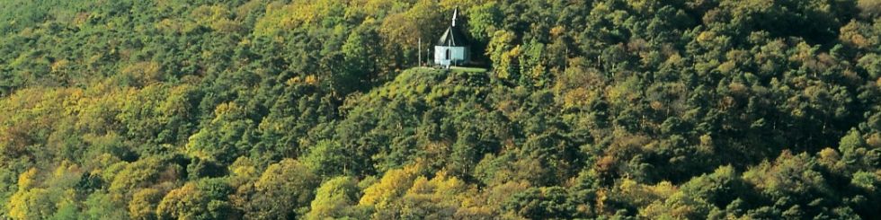 Die Michaelskapelle bei Deidesheim